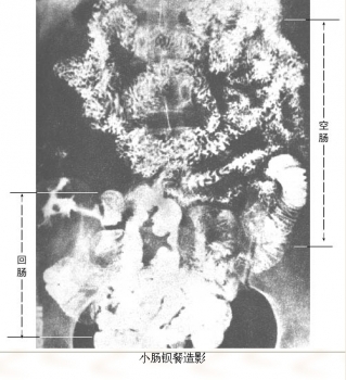 24.jpg 24.jpg