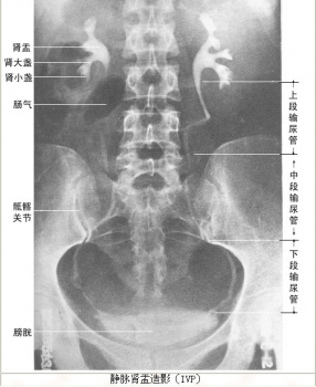 28.jpg 28.jpg